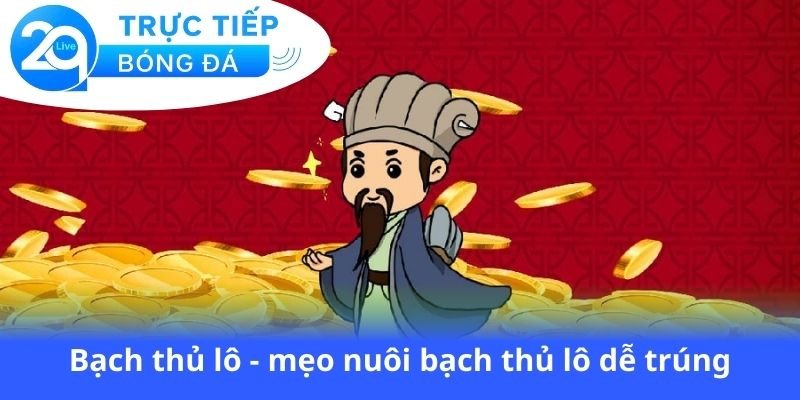 bach-thu-lo-meo-nuoi-bach-thu-lo-de-trung
