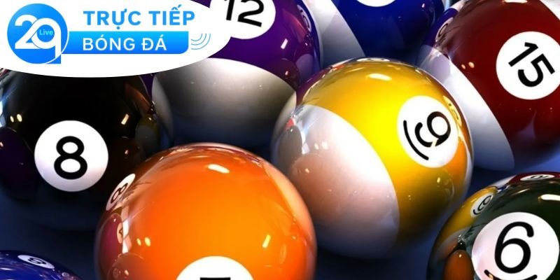 Bạch thủ lô - Mẹo nuôi bạch thủ lô dễ trúng 3 Những đặc điểm của bạch thủ lô
