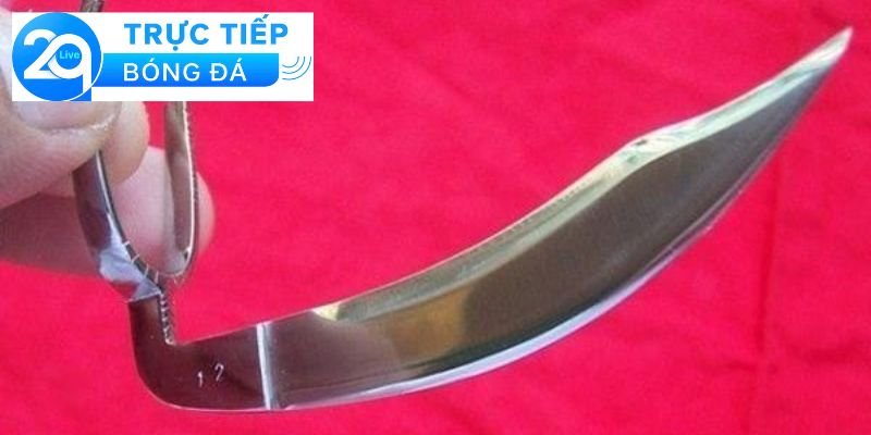 Đá gà cựa dao - đá gà cựa dao hiệu quả, dễ thắng 3 Cách thức hoạt động của đá gà cựa dao