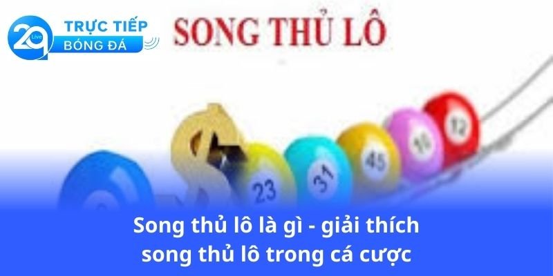 song-thu-lo-la-gi-giai-thich-song-thu-lo-trong-ca-cuoc
