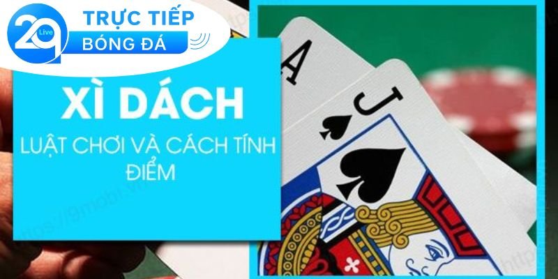 Xì Dách - Chơi xì dách online dễ chiến thắng 4 Một số lưu ý